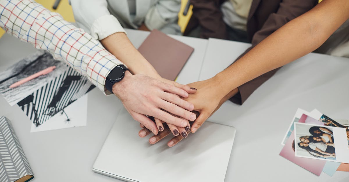 方盒中免红大卫杜夫国际版：积木玩具购买平台