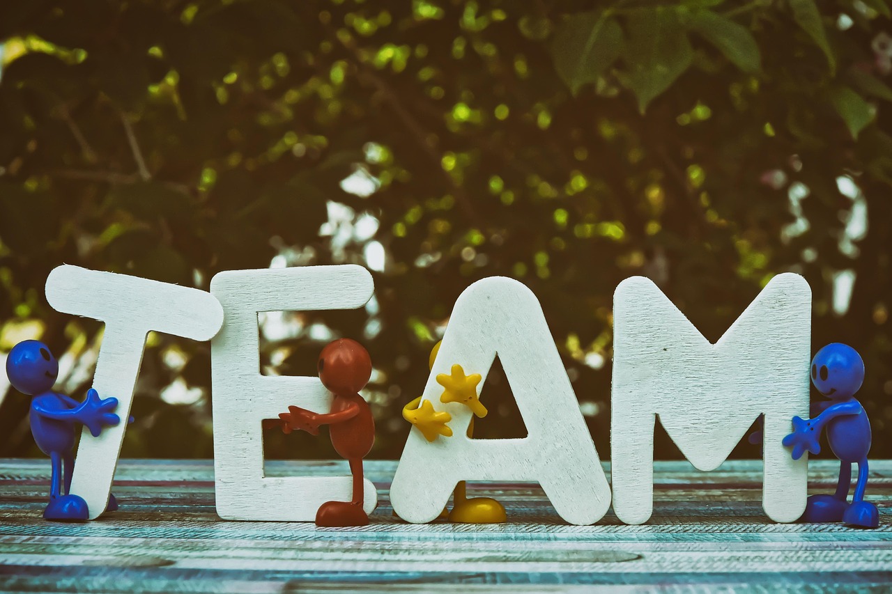 VX号交易网：小小书屋app详情下载教程