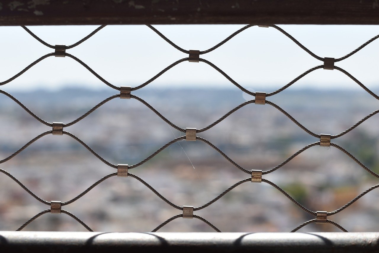 西班牙注册代理怎么填
