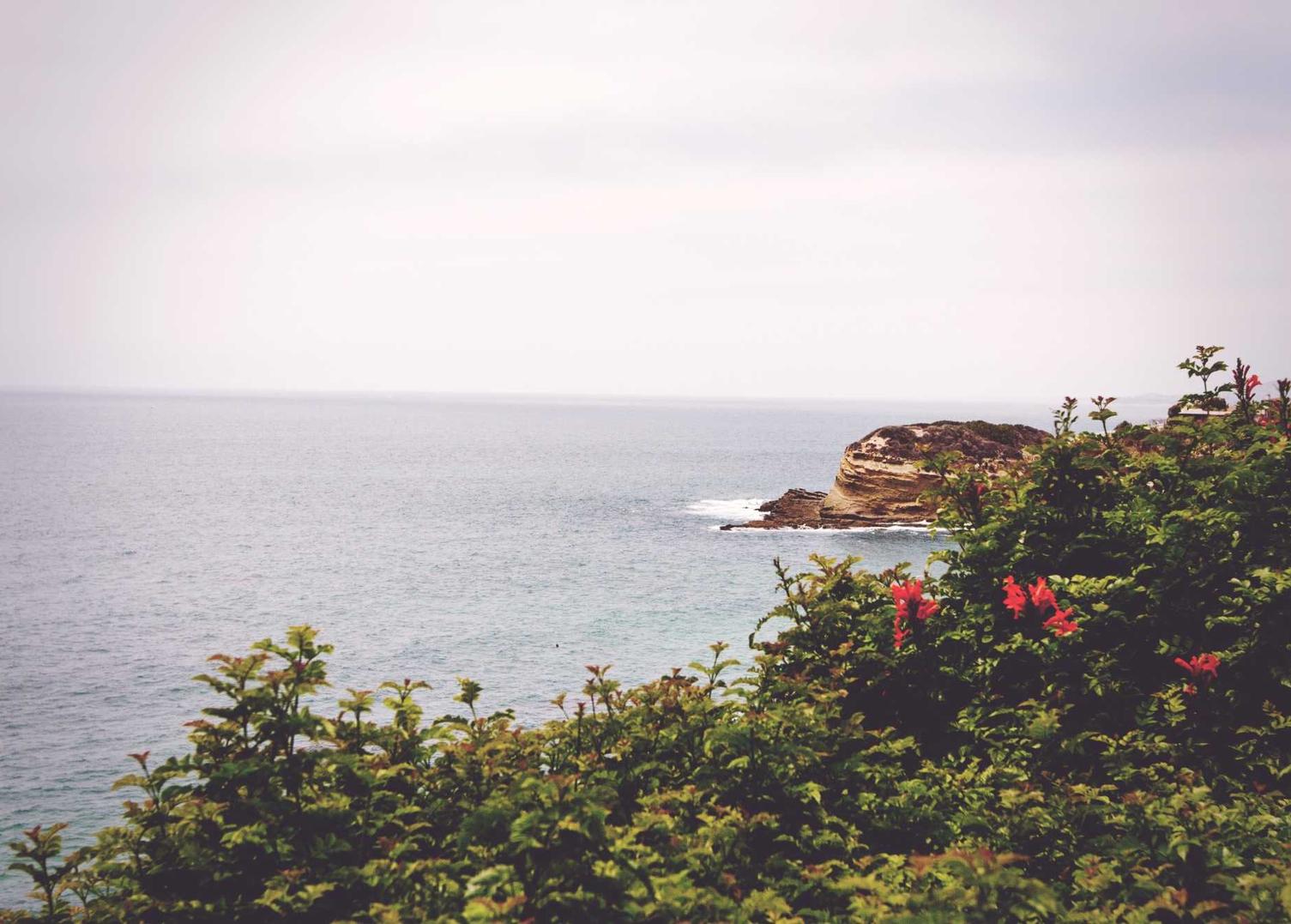 cc网页端|怎么接手游代理平台