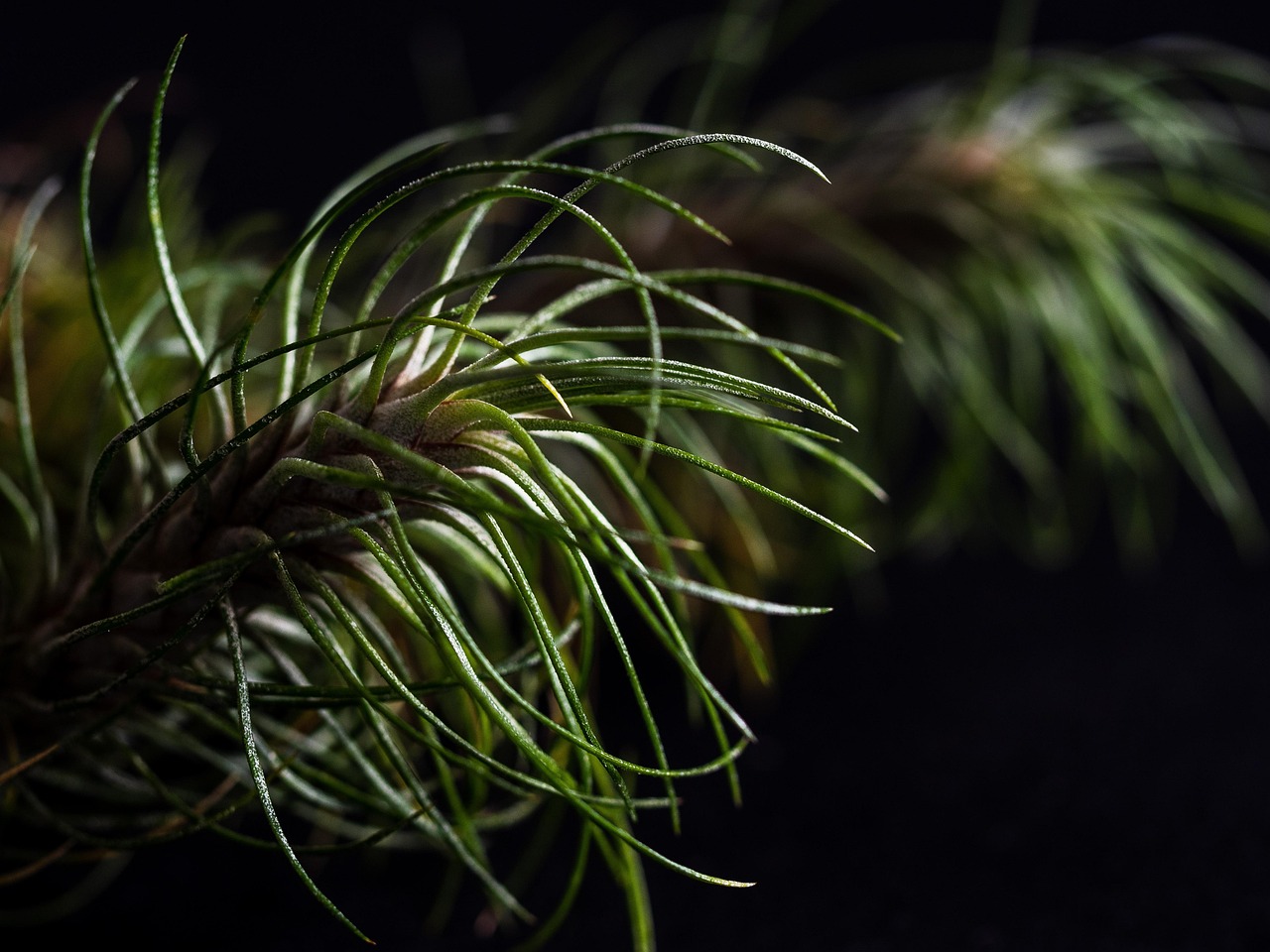 恒越娱乐,注册|黄金手链购买平台